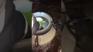 Готовим узбекские Лепешки в тандыре