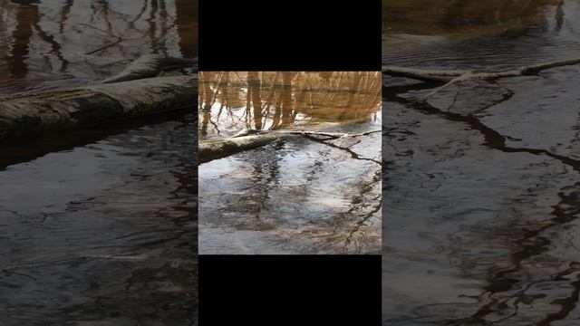 Весенние акварели…