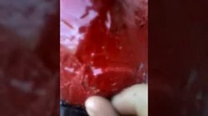 Как сделать костюм фокси финал