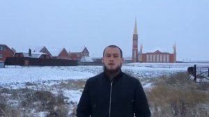 Ринат Фахретдинов, боец ММА. TatarlarBest