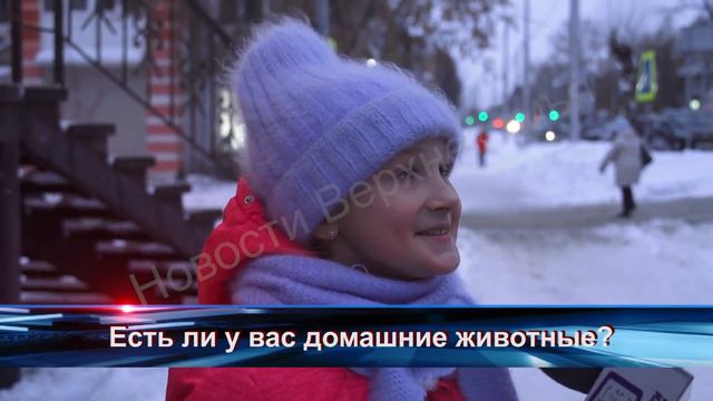 Есть ли у вас домашние животные? смотреть онлайн