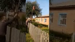 Раек в роевню на унирой