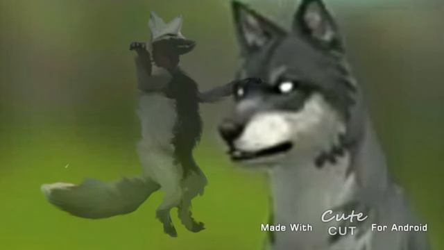 кто же ты wcmv for:💖🐾 смотреть онлайн