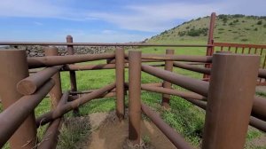 Остров Чеджу. День 2. Отель на Чеджу. Вулканы