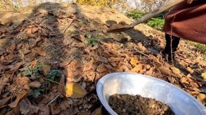 Готовим кисло-сладкий компот из мушмулы Азербайджанская Кухня Деревенская Кухня  Рецепты