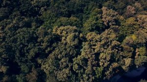 Хаджох/Каменномостский. Адыгея