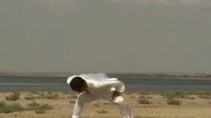 Ван Лин   8 упражнений цигун   демо   wanglin 8qiqong demo