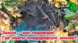 В такой почве все растет САМО! БЕЗ КОМПОСТА и УДОБРЕНИЙ! Где взять плодородную почву БЕСПЛАТНО.
