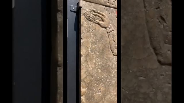 Ассирийское искусство. Рассказывает Мария Киселёва. Прямые эфиры Эрмитажа.