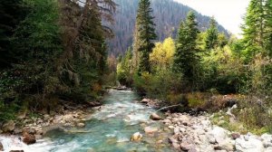 Северный приют.(без рекламы)