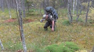 Походы в лес. Одиночный поход. Тайга. Болото. Выживание и Bushcraft