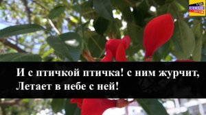 Е.А. Баратынский  " Весна, весна! как воздух чист! " | Учи стихи легко | Аудио Стихи Слушать Онлайн