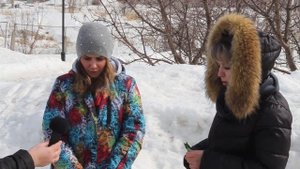 Собаки с бирками в ушах – кто они?