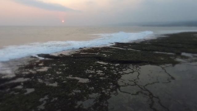 Suzuki hammond смотреть онлайн