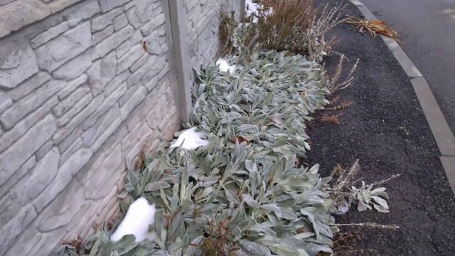 Прогулка по Гуково 28.11.2020 смотреть онлайн