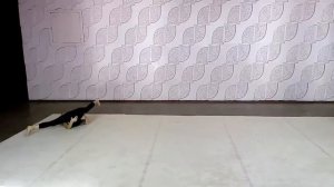 Девочка (7 лет) делает колесо на одной руке.