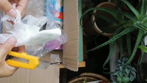 МЕГА посылка с комнатными цветами! Распаковка посылки. Обмен.