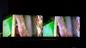 НОВИНКА! QLED MINI LED TCL 55c845 vs 55c755(c805)! MiniLed TV TCL обзор и сравнение!