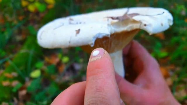 17.?☠?МЕСЯЦ ВЫЖИВАНИЕ В ДИКОЙ ПРИРОДЕ БЕЗ НИЧЕГО _ УТКА В ГЛИНЕ _ ДИКАЯ КУХНЯ _ КАМЕННЫЕ ИНСТРУМЕНТЫ