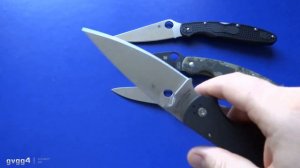 Достойный ТОПа, НОВИНКа! Spyderco Native Chief