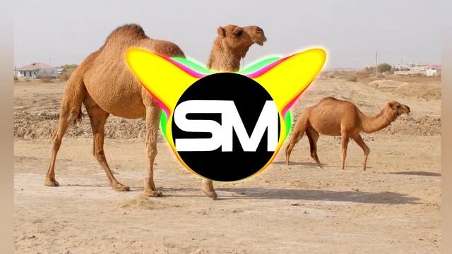 На горе стоит верблюд (Remix) смотреть онлайн