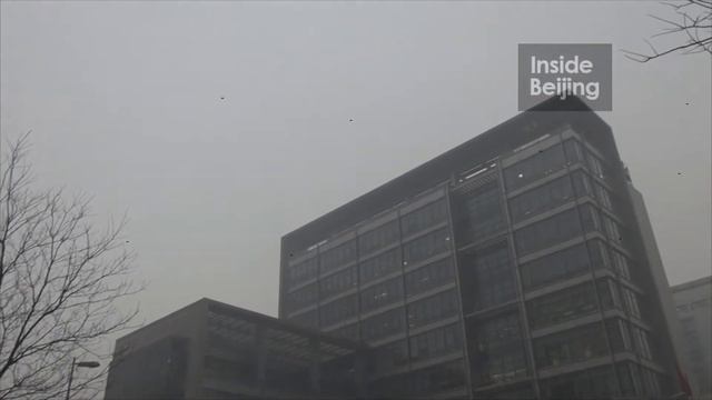 Google China 谷歌 구글 смотреть онлайн