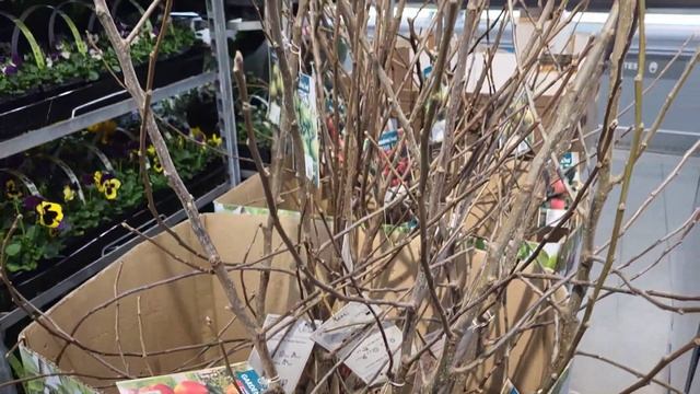 ПОХОД НА МЕТАЛЛОПРИЕМКУ В БЕЛЬГИИ # 448 КООПЕРАТИВ ПО ПРЕВРАЩЕНИЯМ♻️? смотреть онлайн