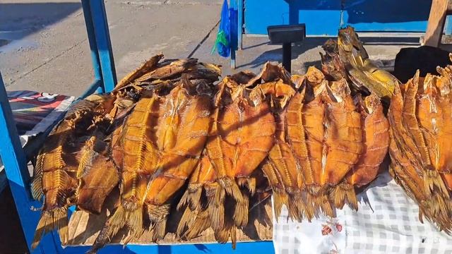 12.11.2023.Шардараның , жерих - сазан - толстолоб балықтары. смотреть онлайн