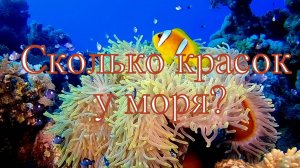 Сколько красок у моря?