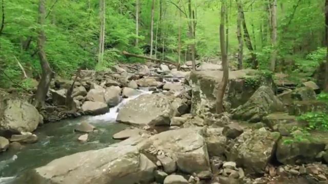 Пробуждение . Франц Шуберт . Аве Мария . Franz Peter Schubert Ave Maria . смотреть онлайн