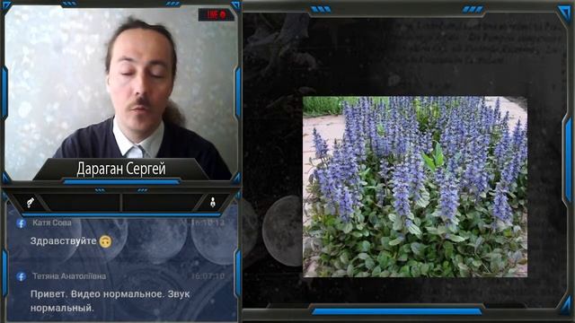 Дараган Сергей Ájuga genevénsis