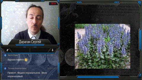 Дараган Сергей Ájuga genevénsis