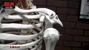 Худшее Упражнение На Плечи. Будешь Делать - Получишь Травму | Джефф Кавальер