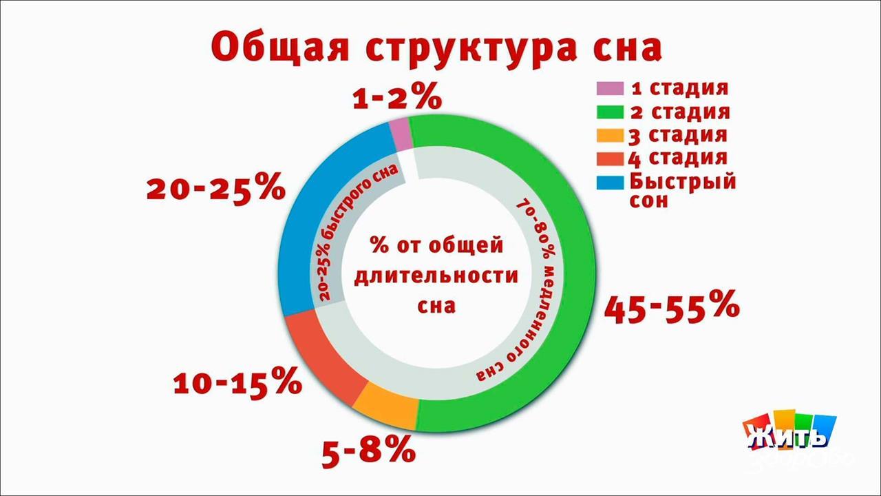 Диаграмма сна. Фазы сна человека диаграмма. Фазы сна схема. Структура сна человека. Структура сна фазы стадии.