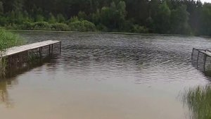 Пляж на озере Шишовское Сосновский район Нижегородской области