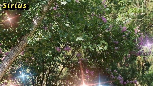 5 ноября день Якова: что категорически нельзя делать смотреть онлайн