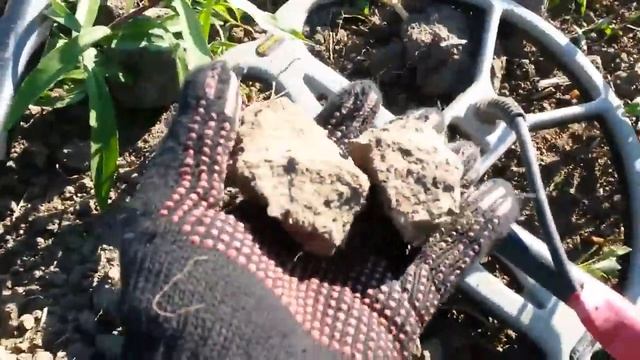 Коп !!!!! Только новичкам!!!!! Выдалбываем из камня монеты..АСЕ250.. смотреть онлайн