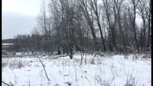 Деревня в эпизодах #19. На мотоблоке Ока зимой по снегу. Грунтозацепы. Тест-драйв