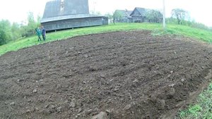 Посадка картошки на огороде под коня!! Деревенские дела!!!