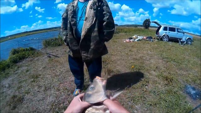 Рыбалка Сазан Карп на бойлы смотреть онлайн