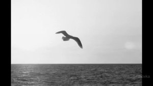 Наутилус - На берегу безымянной реки / Nautilus - Anonymous River