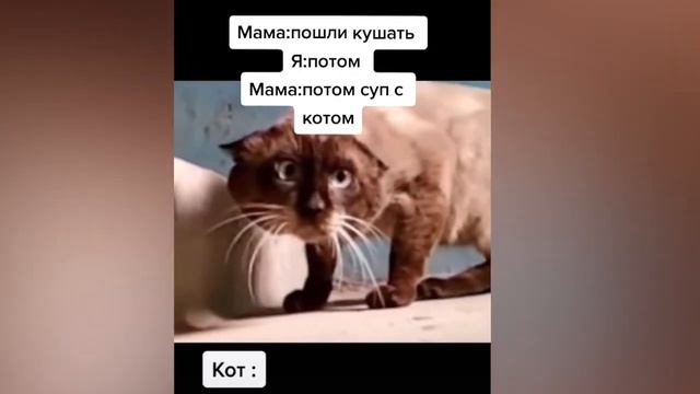 Потом суп с КОТОМ! смотреть онлайн