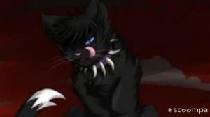 Бич •канал жив• КОТЫ ВОИТЕЛИ WARRIOR CAT БИЧ