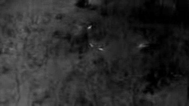 deer thermal смотреть онлайн