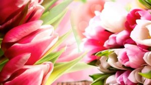 20 самый красивый футаж с 8 марта