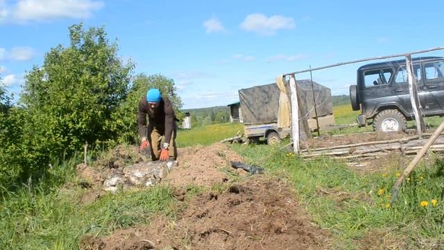 Не унывай! Копай! Что делать, когда апатия? Делай странную штуку для супруги! Тёплую грядку!