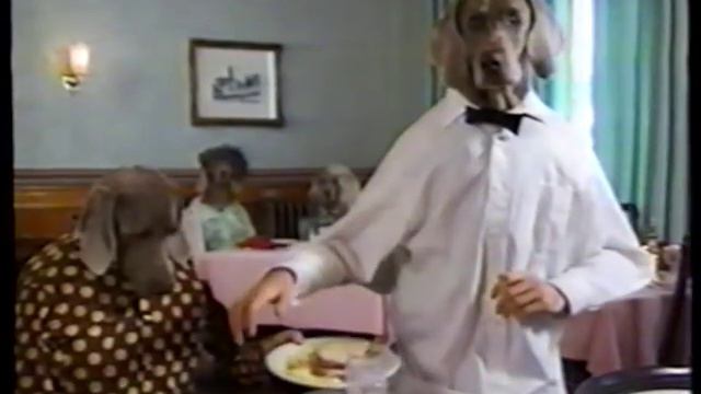 Sesame Street - Wegman's Dogs: The Waiter смотреть онлайн