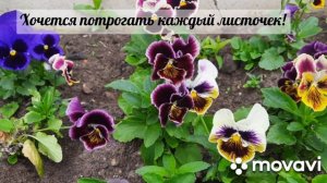 Тихого и спокойного дня! Наслаждайтесь летом!