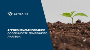 Агроконсультирования. Особенности почвенного анализа