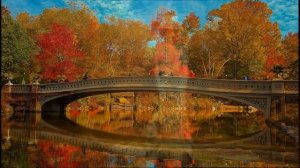 Скоро Осень, господа...
Автор клипа Asja  Rigik